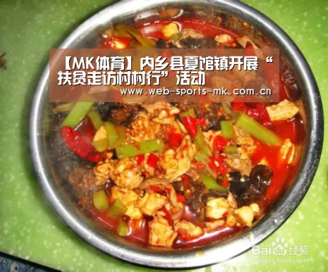 【MK体育】内乡县夏馆镇开展“扶贫走访村村行”活动(图1) MK体育中国