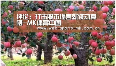 评论:打击股市谣言就该动真格-MK体育中国(图4) MK体育官网