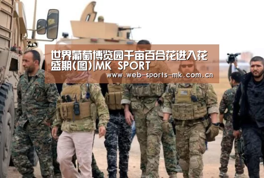 MK体育官网