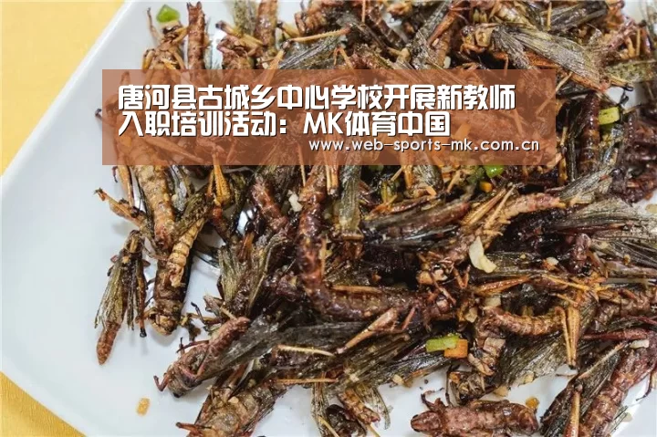 唐河县古城乡中心学校开展新教师入职培训活动:MK体育中国(图3) MK体育