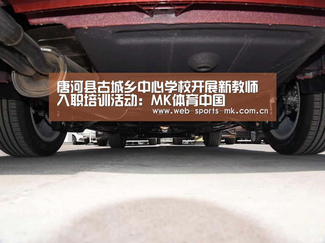唐河县古城乡中心学校开展新教师入职培训活动:MK体育中国(图4) MK体育官网